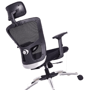 Innowin Ergonomic Office Chair