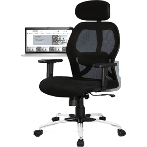 Savya Ergonomic Office Chair